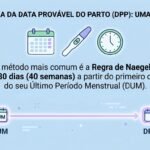 Calculadora de Data Provável do Parto como funciona, como calcular e por que a data pode mudar